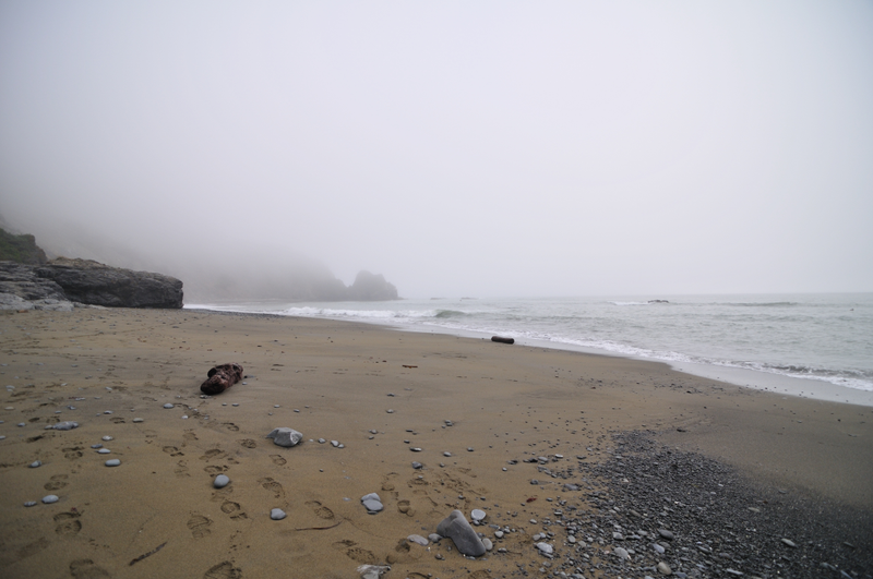 Ocean, rocks, sand, and mysterious fog.